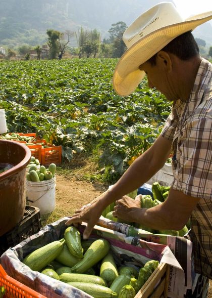 agricultor2 agricultor2